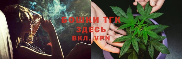 PSILOCYBIN Бугульма