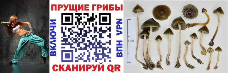 как найти закладки  Копейск  Галлюциногенные грибы ЛСД 