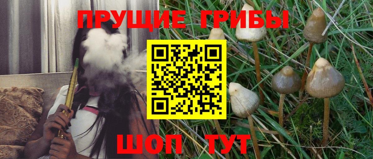 Копейск  Псилоцибиновые грибы Cubensis  Псилоцибиновые грибы Cubensis  Вход с VPN 